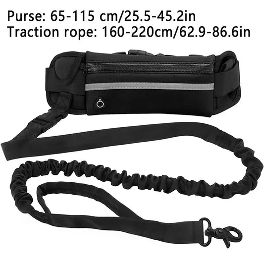 Pawsetta Hands Free Dog Leash for Running