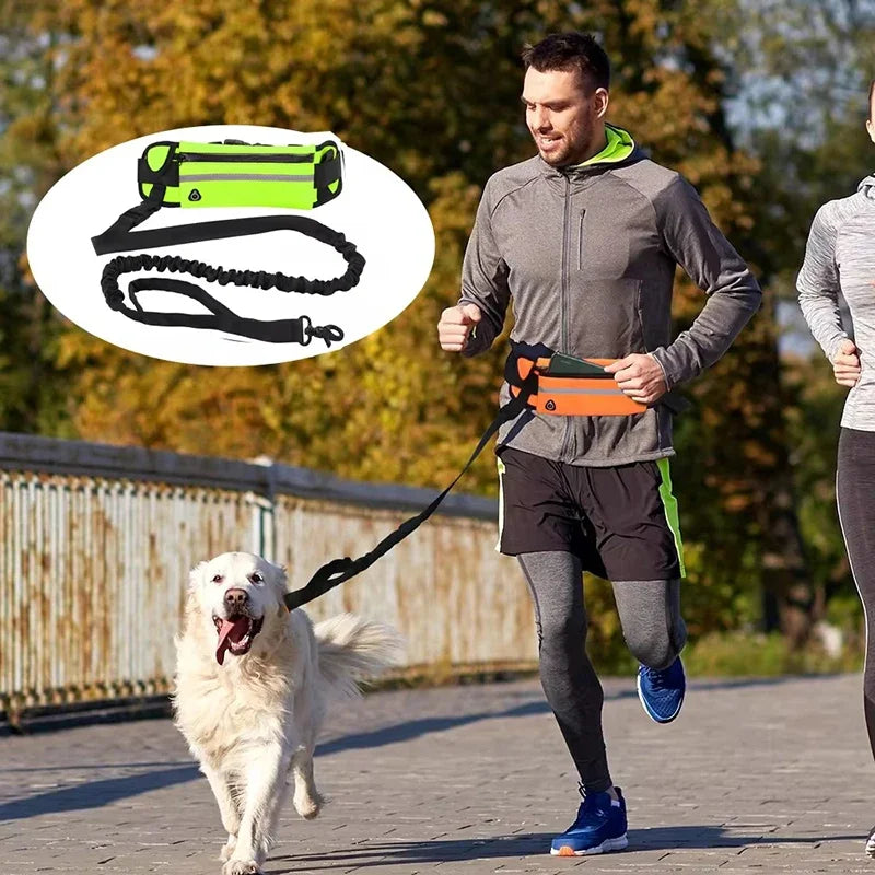Pawsetta Hands Free Dog Leash for Running