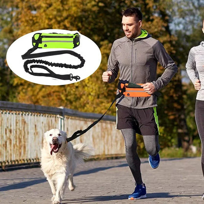 Pawsetta Hands Free Dog Leash for Running