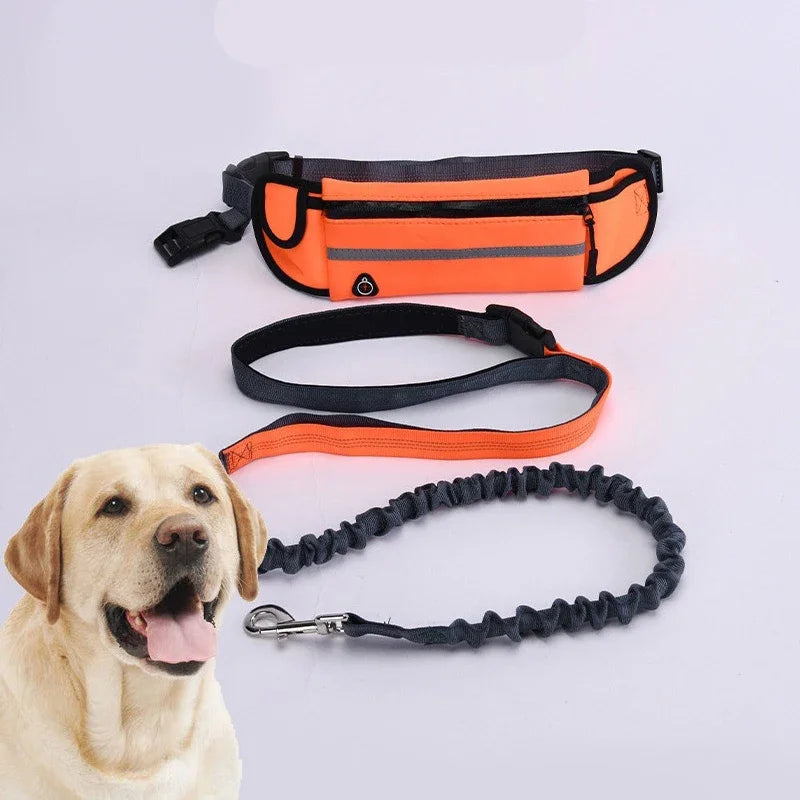Pawsetta Hands Free Dog Leash for Running