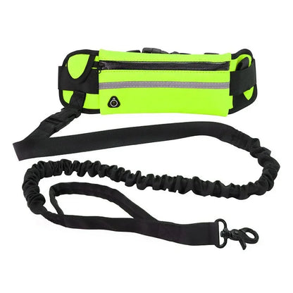 Pawsetta Hands Free Dog Leash for Running